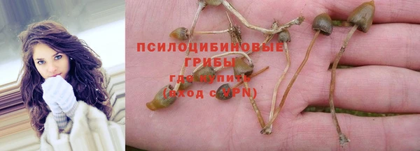 прущие грибы Богданович