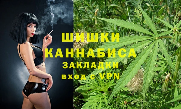 дживик Богородск