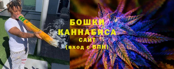 прущие грибы Богданович
