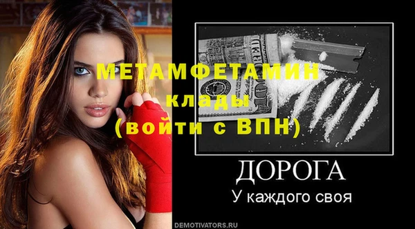 прущие грибы Богданович