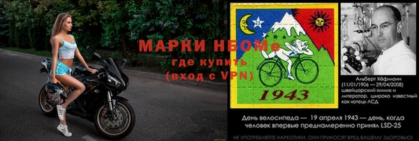 сатива Зерноград