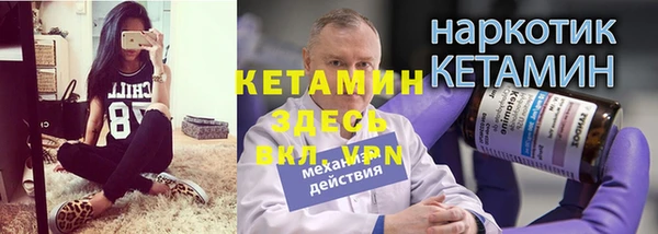 прущие грибы Богданович