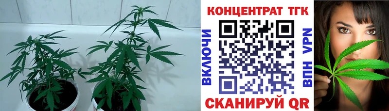 Дистиллят ТГК вейп  где продают   Котельники 
