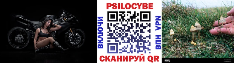 даркнет сайт  Котельники  Галлюциногенные грибы мухоморы 