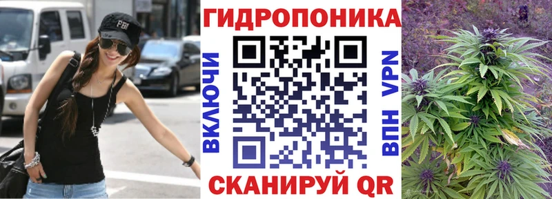 Шишки марихуана сатива  hydra ссылка  Котельники 